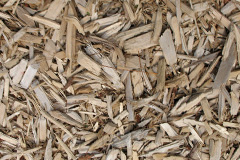 biomass boilers Suttieside